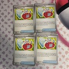 Bug Catching Set