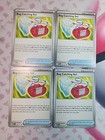 Bug Catching Set
