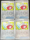Bug Catching Set