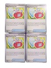 Bug Catching Set