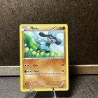 Riolu