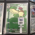 Pidgeotto