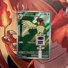 Pidgeotto