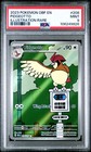Pidgeotto