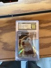 Furret