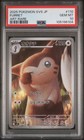 Furret