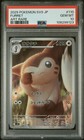Furret