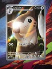 Furret