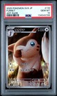 Furret