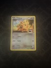 Lillipup