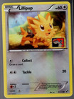 Lillipup