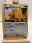 Lillipup