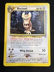 Noctowl