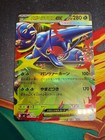 Mega Heracross ex