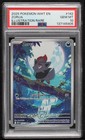 Zorua