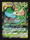 Venusaur & Snivy Tag Team GX