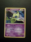 Celebi