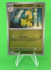 Bayleef