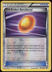 Old Amber Aerodactyl