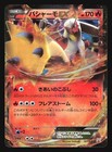 Blaziken EX 