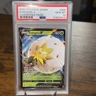 Eldegoss V