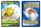 Eldegoss V