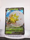 Eldegoss V