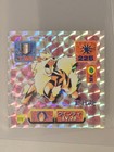 Arcanine