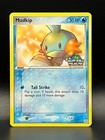 Mudkip
