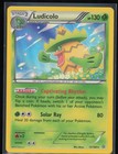 Ludicolo