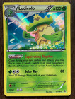 Ludicolo