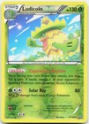Ludicolo