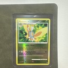 Mothim