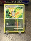 Mothim