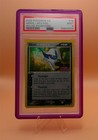 Absol