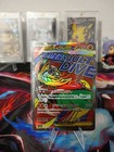 Mega Hawlucha ex