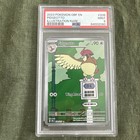 Pidgeotto
