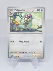 Pidgeotto