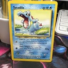 Totodile