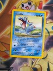 Totodile