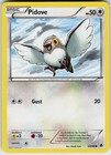 Pidove