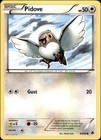 Pidove