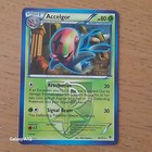 Accelgor