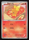 Torchic