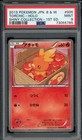 Torchic