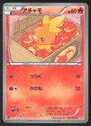 Torchic