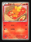 Torchic
