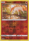 Ponyta