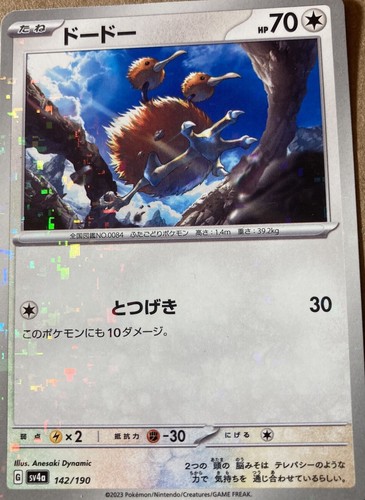 Doduo
