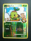 Turtwig GL